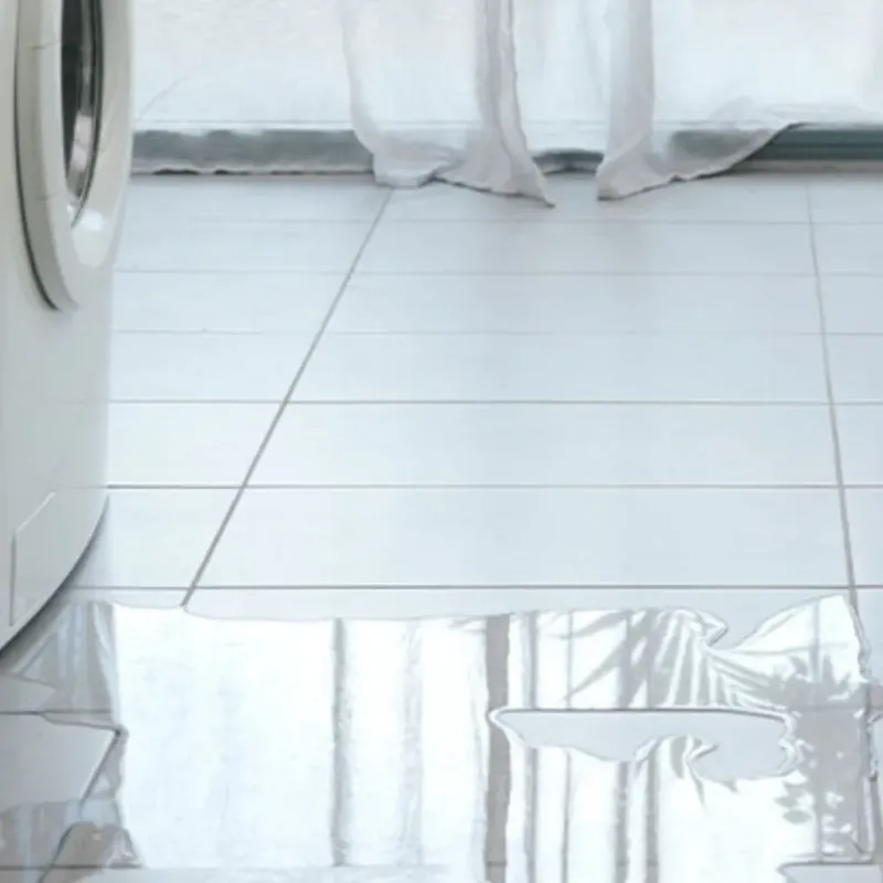 Appliance Leak Cleanup in Manchester, IA