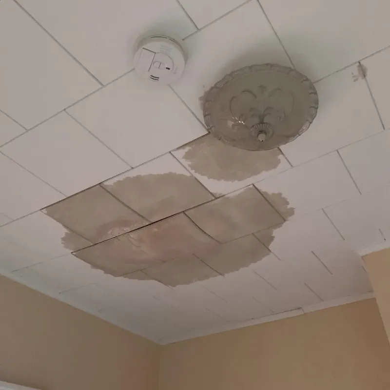 Ceiling Water Damage Repair in Manchester, IA