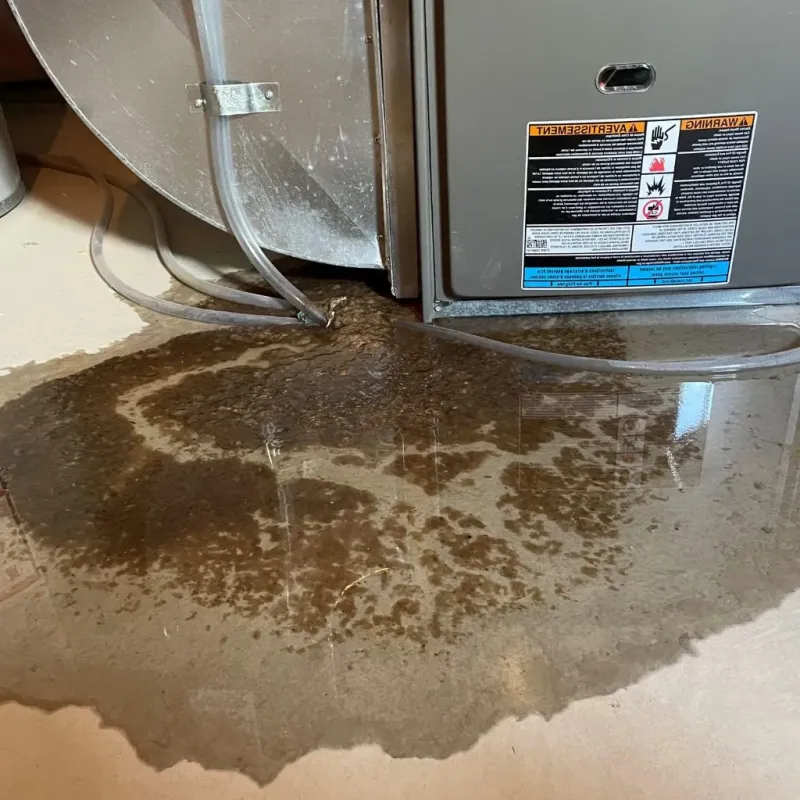 Pipe Burst and Leak Restoration in Manchester, IA