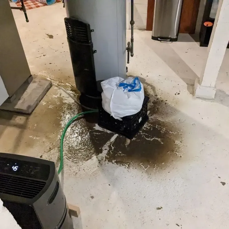 Sewage Backup Cleanup Service in Manchester, IA
